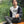 Load image into Gallery viewer, Man wearing sarcastic funny Puck Feople t-shirt from Shirty Store