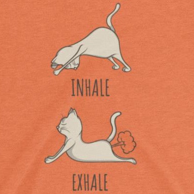 Close up of Funny Yoga cat inhale exhale t-shirt from Shirty Store