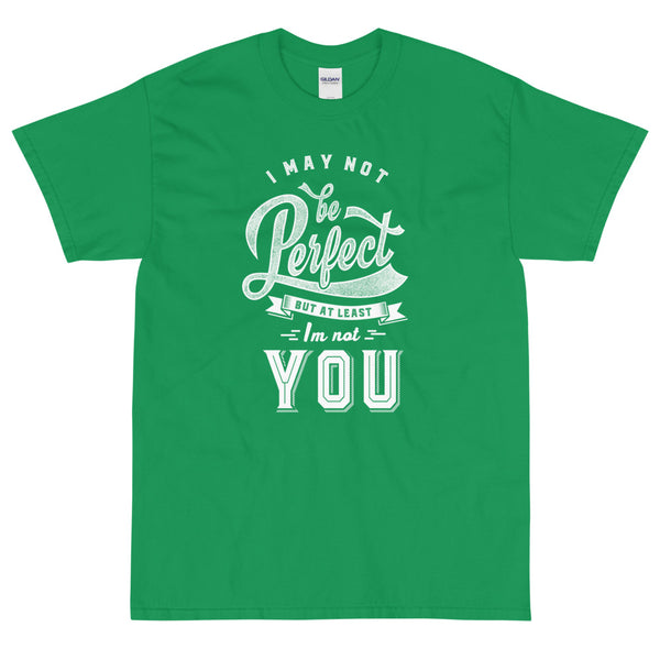 Green sarcastic I May Not Be Perfect But I'm Not You t-shirt from Shirty Store
