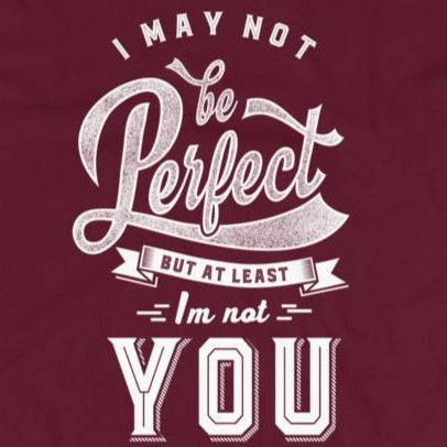 Close up of sarcastic I May Not Be Perfect But I'm Not You t-shirt from Shirty Store